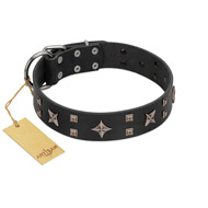 "Star Excitement" Modern FDT Artisan Black Leather English Bulldog Collar with Studs and Stars