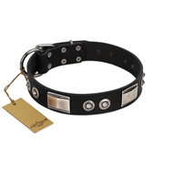 "Grand Wear" FDT Artisan Black Leather English Bulldog Collar with Shining Plates and Spiked Studs