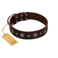 "Pure Sensation" Exclusive FDT Artisan Brown Leather English Bulldog Collar with Fancy Brooches and Studs