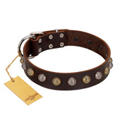 "Gape Buster" FDT Artisan Brown Leather English Bulldog Collar with One Row of Studs