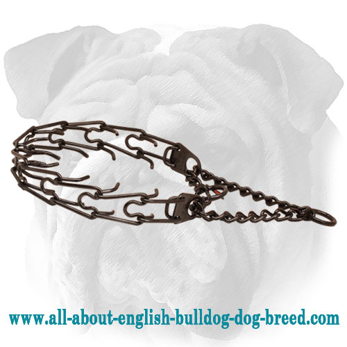 Black Prong Dog Collar of Stainless Steel