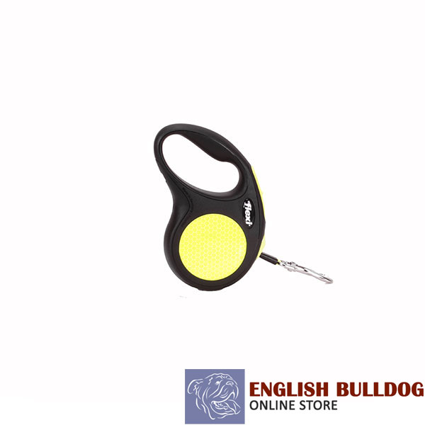 Comfortable Flexi Retractable Dog Lead for Everyday use