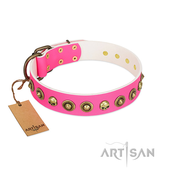 Fashionable natural leather dog collar with rust resistant adornments
