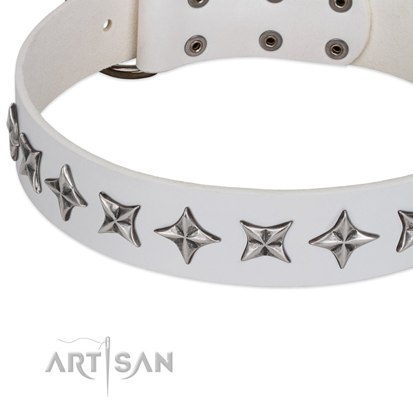 Everyday use adorned dog collar of finest quality leather