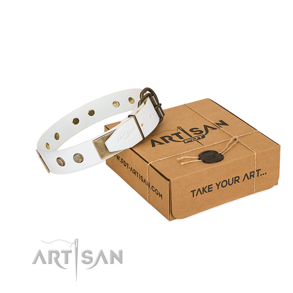 Rust-proof studs on dog collar for stylish walking