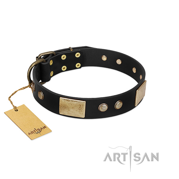 Easy wearing full grain leather dog collar for stylish walking your dog