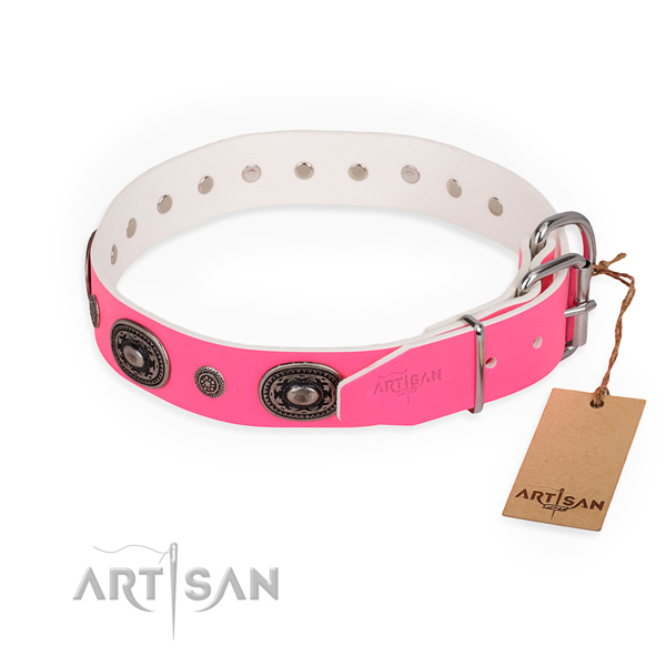 Fancy walking incredible dog collar with rust resistant hardware