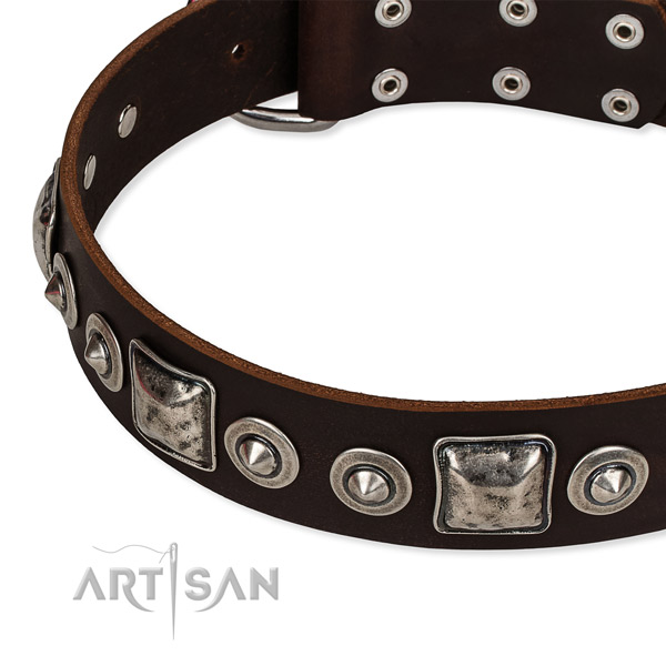 Best quality genuine leather dog collar created for your attractive canine