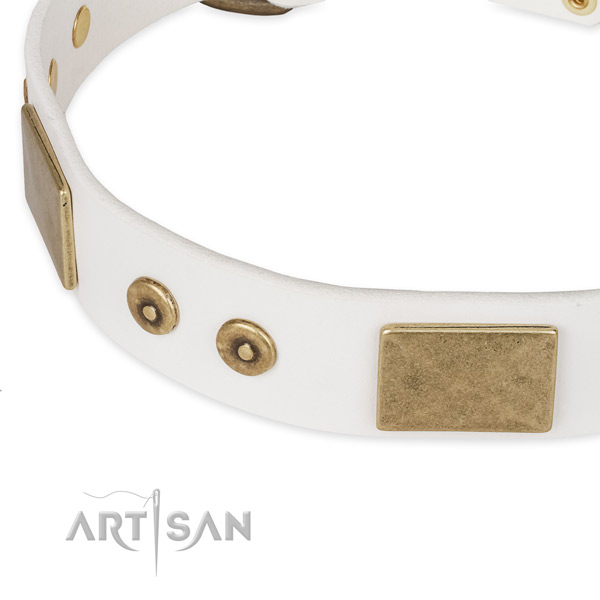 Strong decorations on natural leather dog collar for your canine