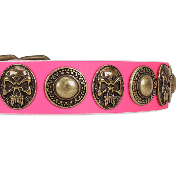 Strong adornments on full grain natural leather dog collar for your dog