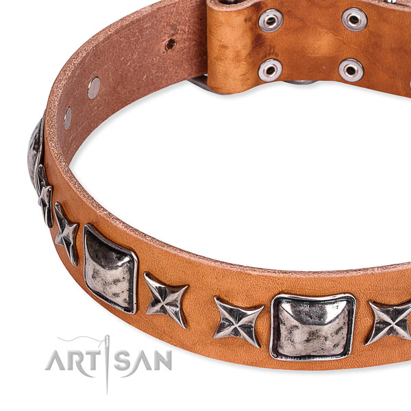 Handy use embellished dog collar of finest quality full grain natural leather