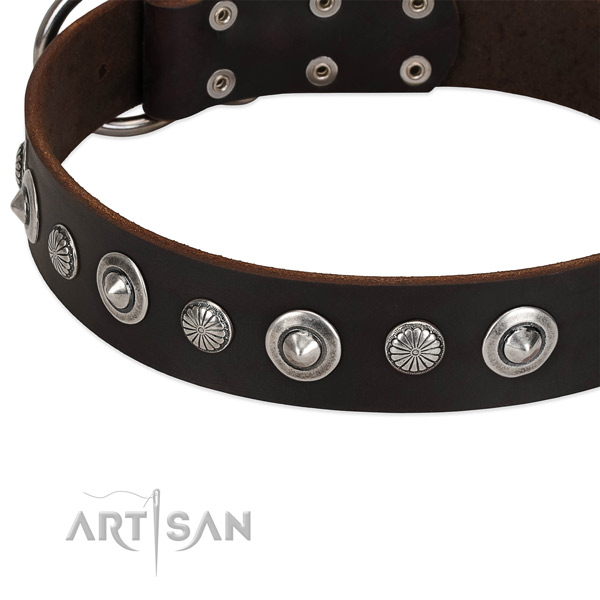 Amazing embellished dog collar of quality natural leather