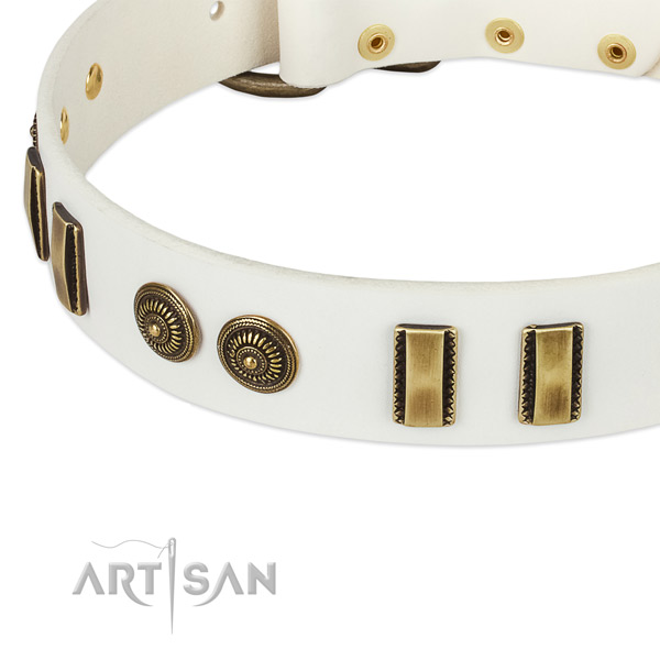 Corrosion proof hardware on genuine leather dog collar for your four-legged friend
