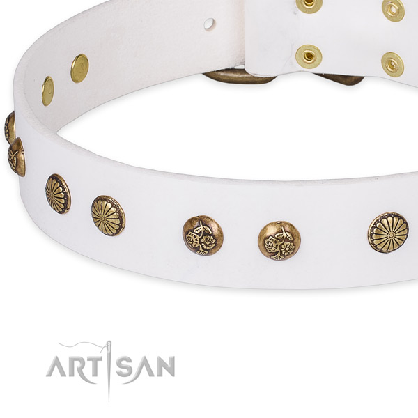 Full grain genuine leather collar with reliable traditional buckle for your attractive canine