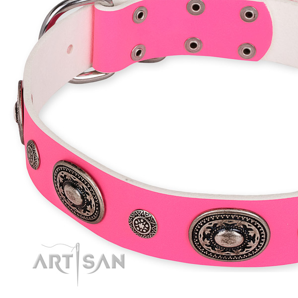 Leather dog collar with inimitable durable decorations
