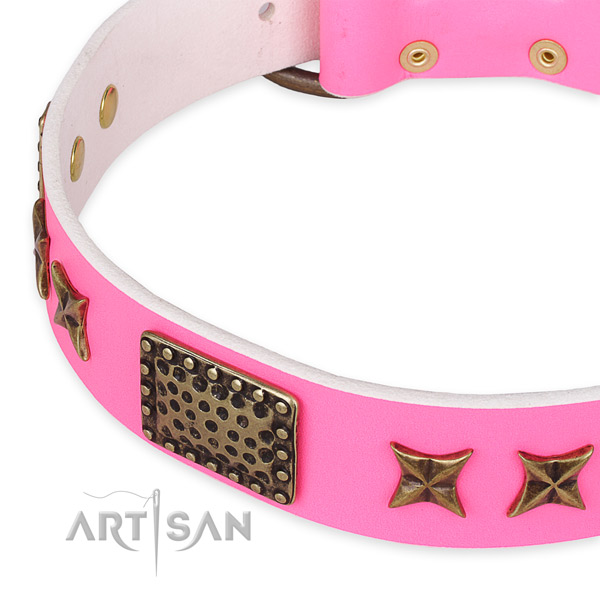 Genuine leather collar with rust-proof D-ring for your impressive canine