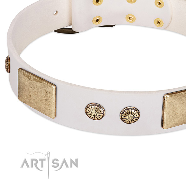 Corrosion proof buckle on full grain leather dog collar for your pet