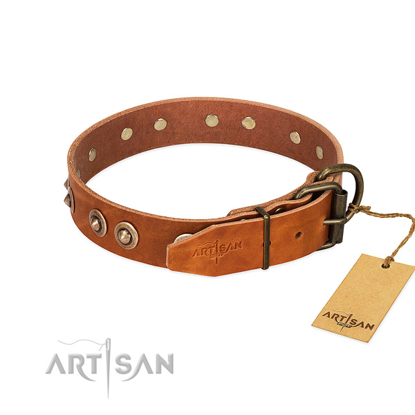 Corrosion resistant decorations on genuine leather dog collar for your four-legged friend