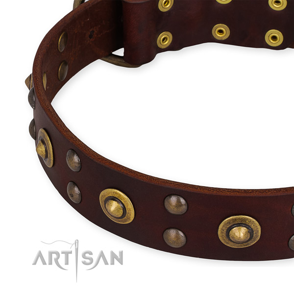 Full grain natural leather collar with rust-proof D-ring for your attractive dog