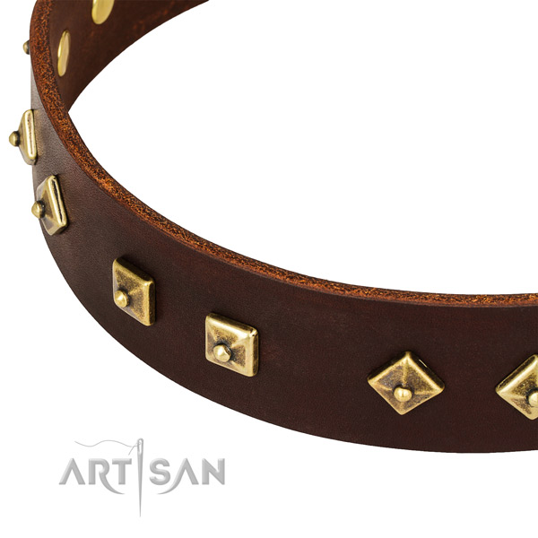 Remarkable leather collar for your impressive canine