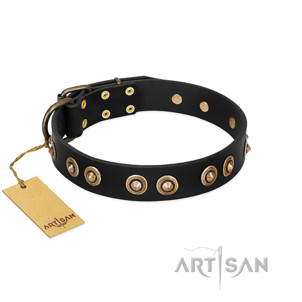 Rust resistant hardware on leather dog collar for your dog