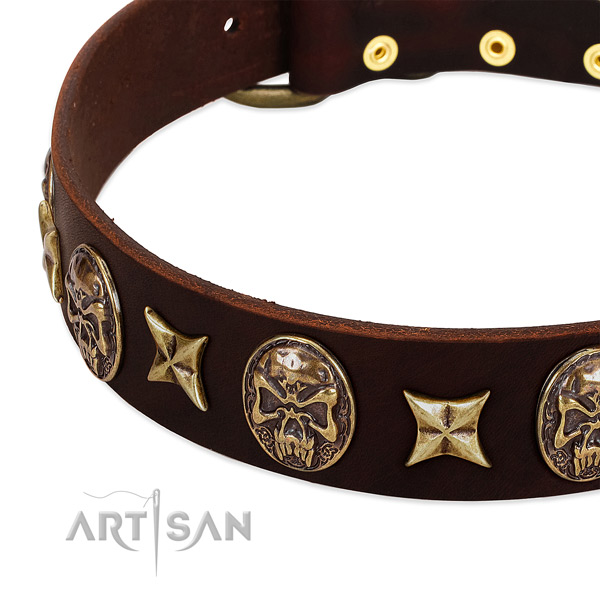 Reliable buckle on full grain genuine leather dog collar for your pet