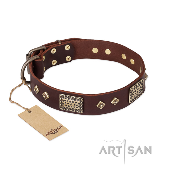 Stylish design full grain natural leather dog collar for daily walking