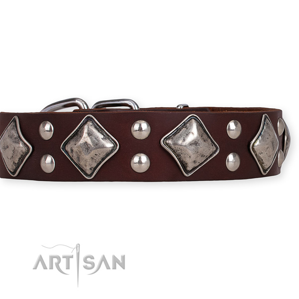 Full grain leather dog collar with significant corrosion resistant studs