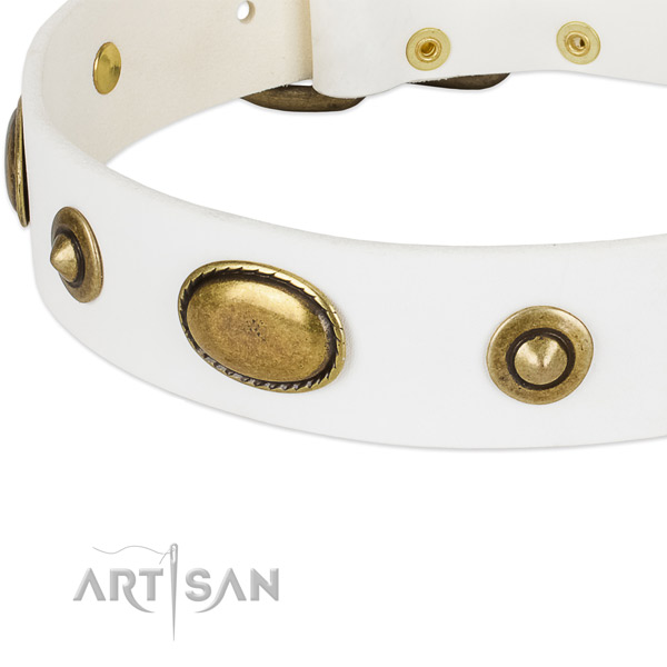 Rust resistant adornments on full grain genuine leather dog collar for your pet