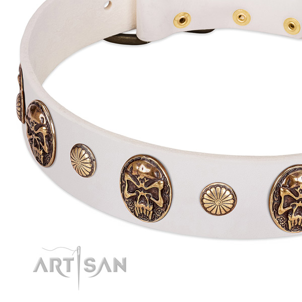Strong hardware on leather dog collar for your pet