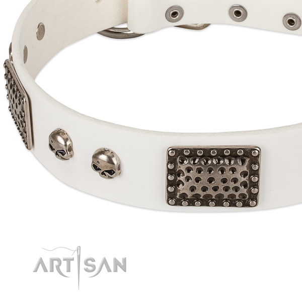 Reliable traditional buckle on full grain leather dog collar for your dog