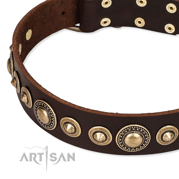 Strong full grain natural leather dog collar created for your stylish pet