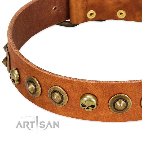 Exceptional decorations on full grain leather collar for your doggie