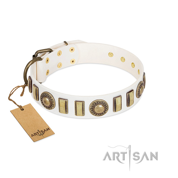 Adorned full grain leather dog collar with corrosion resistant buckle