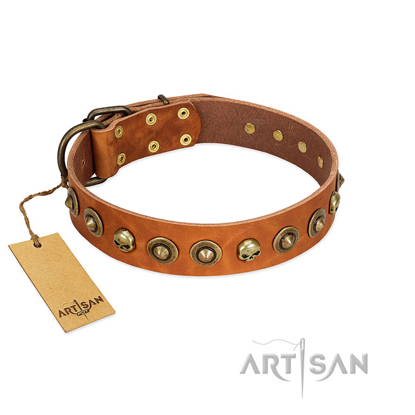 Natural leather collar with incredible studs for your pet