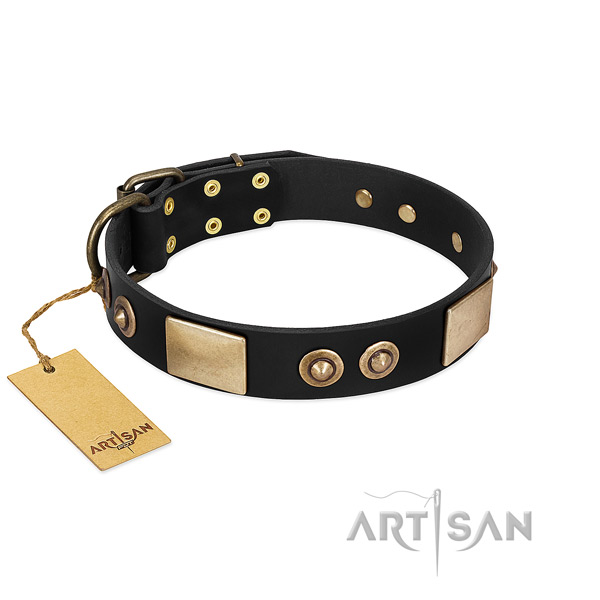 Easy to adjust genuine leather dog collar for daily walking your four-legged friend