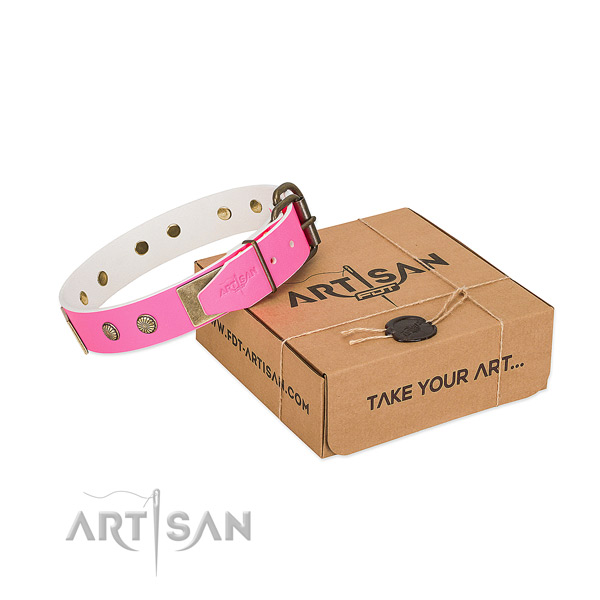 Durable D-ring on dog collar for walking