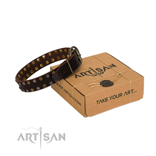 Everyday use reliable genuine leather dog collar with embellishments