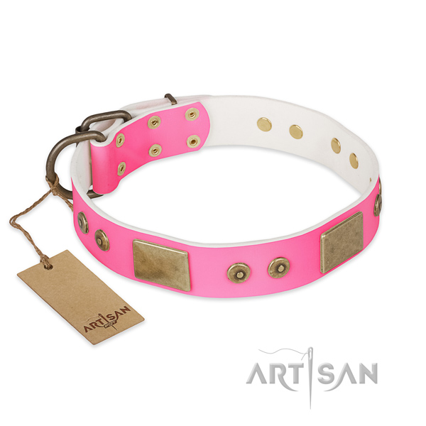 Amazing leather dog collar for stylish walking