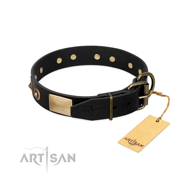 Corrosion resistant D-ring on basic training dog collar