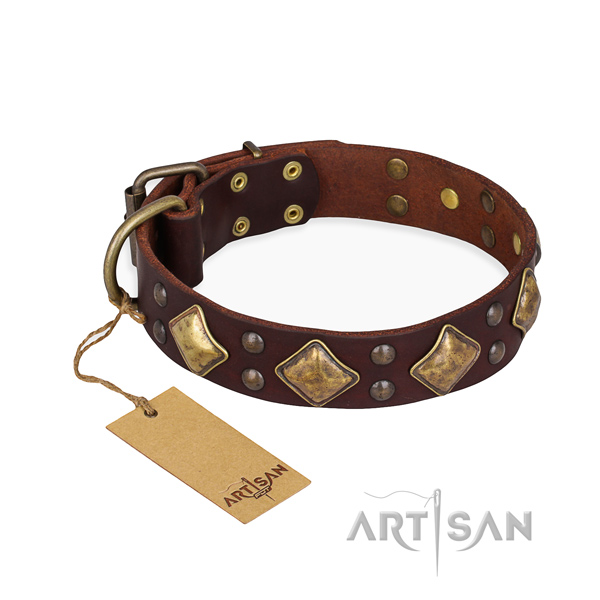 Walking unique dog collar with rust-proof buckle