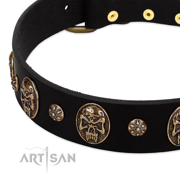 Rust-proof D-ring on genuine leather dog collar for your doggie