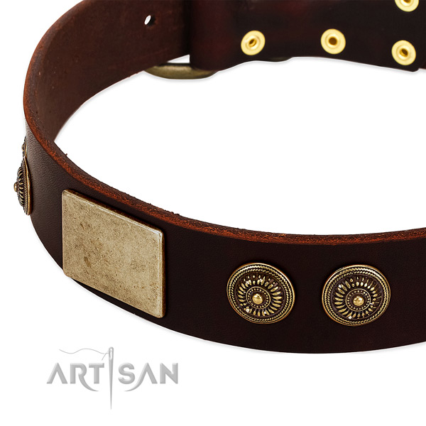 Corrosion proof embellishments on genuine leather dog collar for your four-legged friend