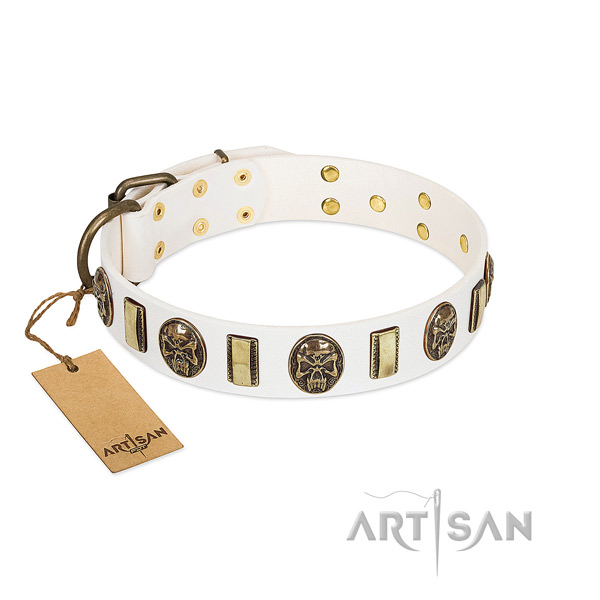 Stylish design full grain leather dog collar for everyday walking
