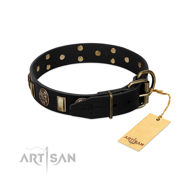 Full grain leather dog collar with rust-proof hardware and embellishments