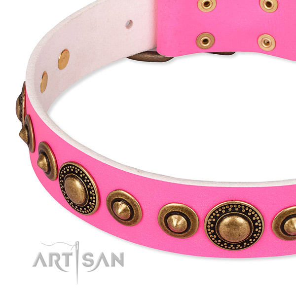 High quality full grain leather dog collar made for your impressive doggie