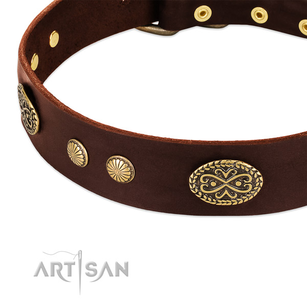 Strong decorations on full grain natural leather dog collar for your four-legged friend