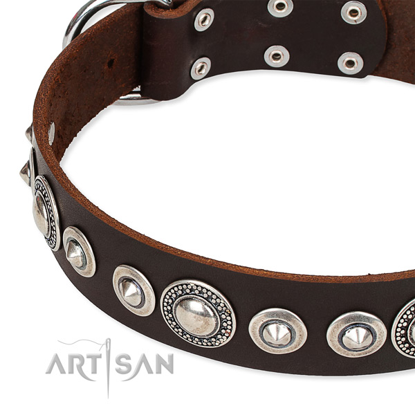 Daily use adorned dog collar of fine quality full grain natural leather