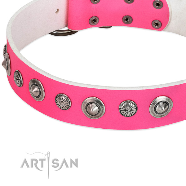Full grain natural leather collar with rust-proof traditional buckle for your attractive four-legged friend
