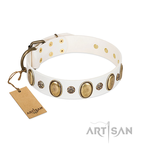 Comfy wearing top rate leather dog collar with studs